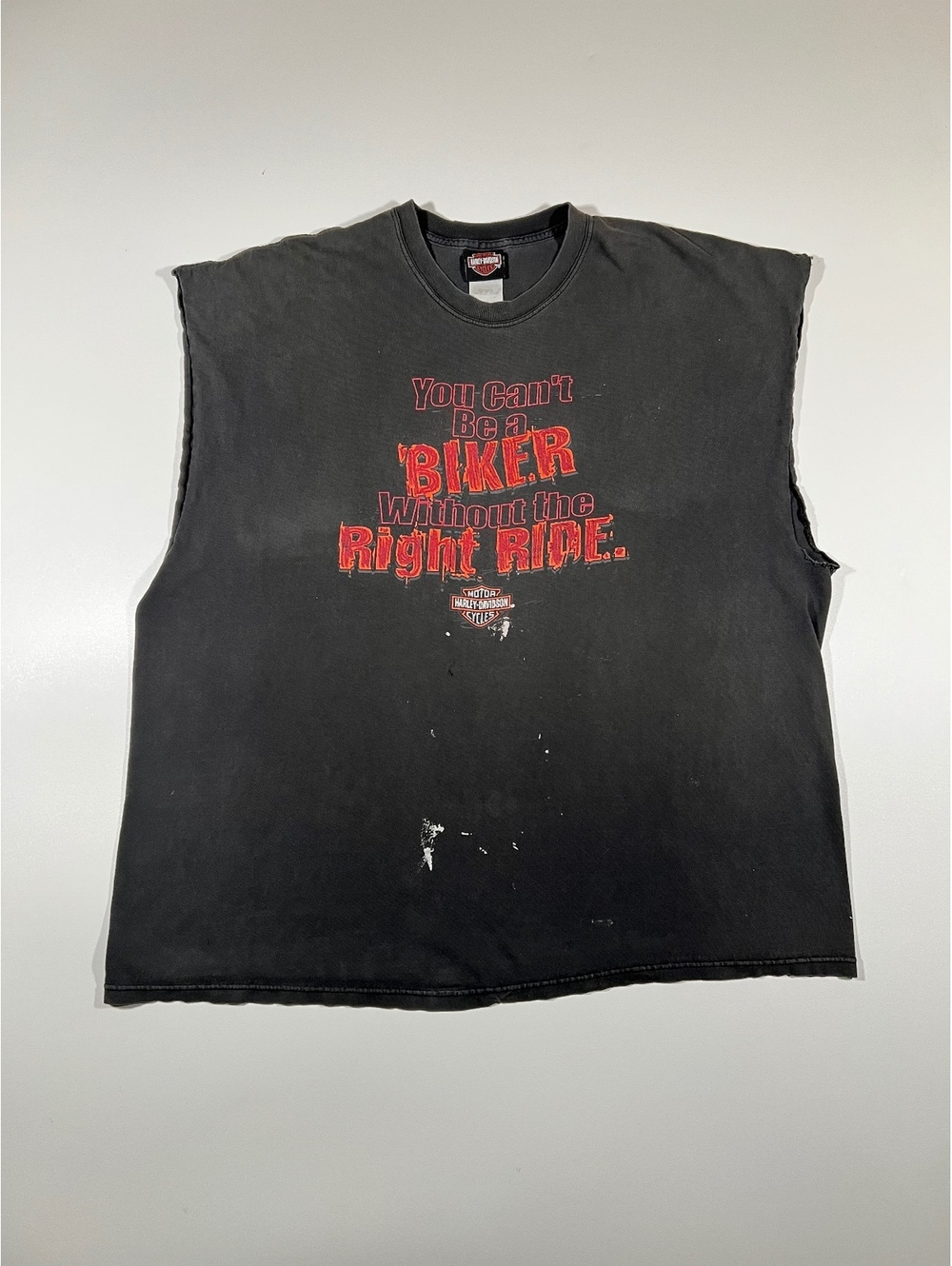 Harley-Davidson Sleeveless T-Shirt Biker Graphic Distressed Motorcycle Tee